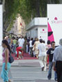 Panormica de las demostraciones