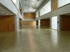 Interior Auditorio